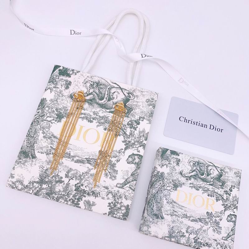 Dior Earring 03lyr141